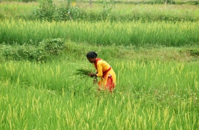 BJP, BJD engaged in tug of war over delay in settling crop insurance claims