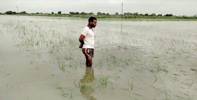 Even as nature's vagaries strike in UP, its politicians are least concerned Even as nature's vagaries strike in UP, its politicians are least concerned