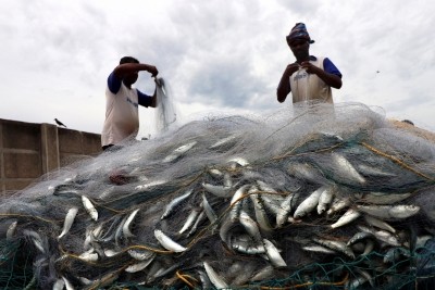 Sri Lankan Navy detains 23 Indian fishermen