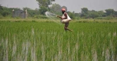 Adequate fertilisers available to meet needs of farmers in Rabi season, says Centre Adequate fertilisers available to meet needs of farmers in Rabi season, says Centre