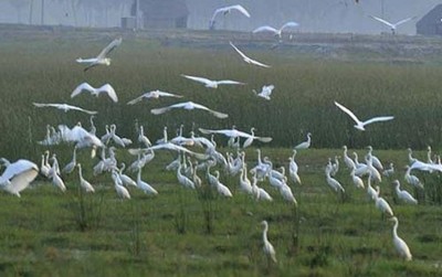 TN to establish Ornithological Conservation Centre