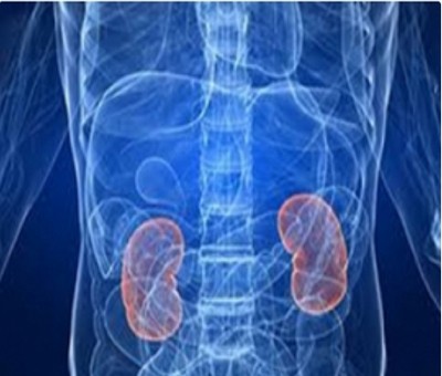 Long-term exposure to air pollution ups kidney disease risk