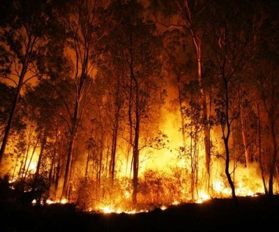 Massive forest fire ravages 3,600 hectares of land in Chile