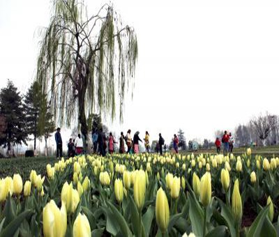 Dry weather, mainly clear, partly cloudy sky likely in J&K