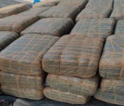 400 kg ganja seized along the Assam-Tripura border