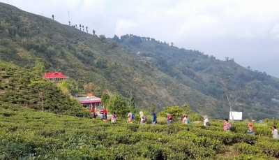 India-Nepal border in Darjeeling to be closed from Nov 17-20 India-Nepal border in Darjeeling to be closed from Nov 17-20