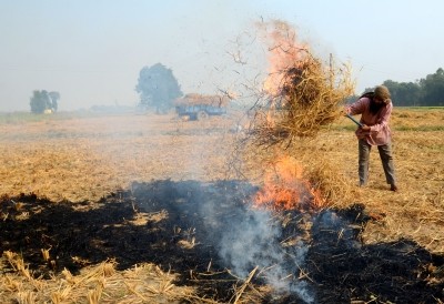 UP issues warning to stubble burning farmers