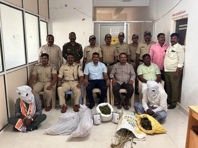 Raids conducted on marijuana farms in Karnataka, 2 arrested