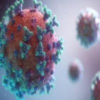 Covid virus alters RNA in infected cells, shows study