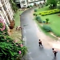 TN Medical University seeks report from CMC Vellore on ragging incident