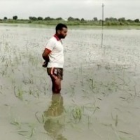 Even as nature's vagaries strike in UP, its politicians are least concerned