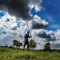 India moves two spots up to rank 8th in climate change performance index