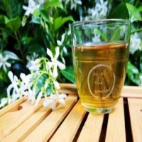 Green tea, red wine can reduce Alzheimer's plaques sans side effects