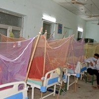 Religious leaders to help in checking dengue in Lucknow