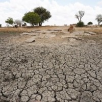 Climate change deadlier than cancer in some areas: UNDP