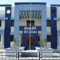 Youth kills sister for 'honour' in Gujarat, arrested