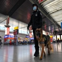 More govts in Europe, America launch probe into secret Chinese police stations