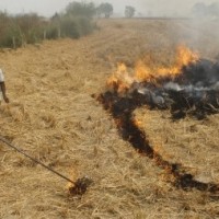Punjab, Haryana farmers sensitised on stubble management