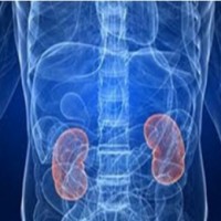 Long-term exposure to air pollution ups kidney disease risk