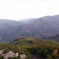 Odisha govt notifies Mahendragiri hill as biodiversity heritage site