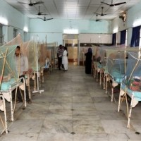 Lucknow reports 47 dengue cases in a day