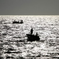 2 killed as boat capsizes in Narmada in MP