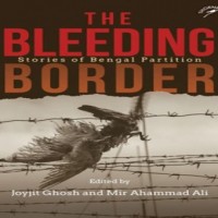 Bengal Partition literature offers more than a stereotypical discourse
