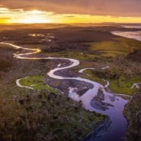 Global assessment reveals huge potential of peatlands as climate solution