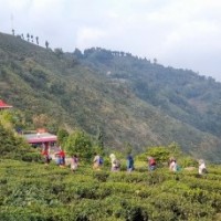 India-Nepal border in Darjeeling to be closed from Nov 17-20