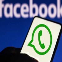 WhatsApp rolls out contact cards sharing on Windows beta