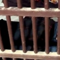 Mehrauli Murder: Aftab used Shraddha's Insta till June