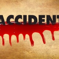Eight from Chhattisgarh killed in Andhra road accident 