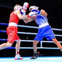 Youth World Boxing: Ravina, Vishwanath among seven Indians storm into semifinals, confirm medals