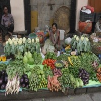 Wholesale inflation eases to 8.39%, consumers may not benefit