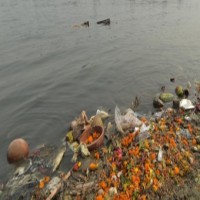 Take action against encroachment on bank of river Ganga: NGT to Moradabad DM