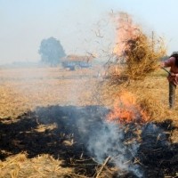 UP issues warning to stubble burning farmers