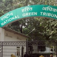 NGT files suo-moto case in Mizoram stone quarry collapse