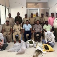 Raids conducted on marijuana farms in Karnataka, 2 arrested