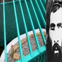 Taliban reveals burial site of Mullah Omar