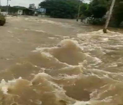 TN: One dies, 275 houses inundated as heavy rain lashes Erode