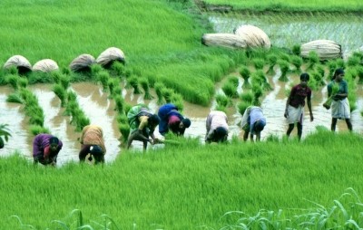 MSP worth Rs 2,356 cr disbursed during 2022-23 Kharif season MSP worth Rs 2,356 cr disbursed during 2022-23 Kharif season