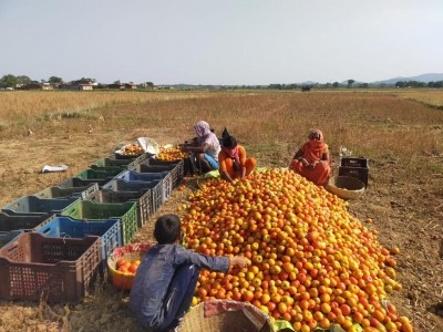 PM-Kisan scheme benefit discontinued for over 15.27L farmers in Jharkhand PM-Kisan scheme benefit discontinued for over 15.27L farmers in Jharkhand