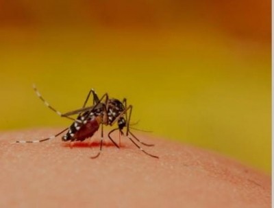 Dengue cases show a spike, October is the most vulnerable month