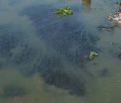 Thamirabarani river in TN continues to get polluted