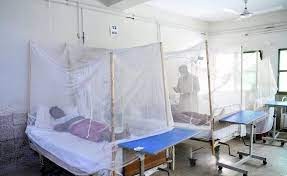 As dengue cases rise, no leave for UP doctors As dengue cases rise, no leave for UP doctors