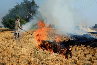 Just ahead of Delhi's smog season, farmers of Punjab & Haryana start setting fields on fire