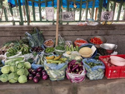 Amid festival season, vegetable prices soar in Delhi-NCR Amid festival season, vegetable prices soar in Delhi-NCR