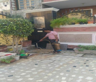 Two NCR districts fight dengue only on paper, ground reality starkly different Two NCR districts fight dengue only on paper, ground reality starkly different