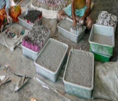Riding tractor to cross reptile-infested rivulet, CGST team bust illegal firecracker factory in Faridabad Riding tractor to cross reptile-infested rivulet, CGST team bust illegal firecracker factory in Faridabad