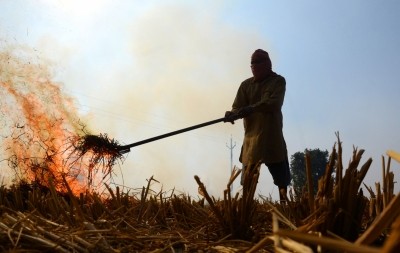 Four Punjab officials suspended for stubble burning Four Punjab officials suspended for stubble burning